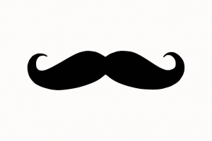 moustache-303571_640